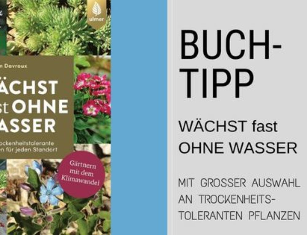 Buchtipp GÄRTNERN OHNE INVASIVE PFLANZEN für Naturschutz im Garten