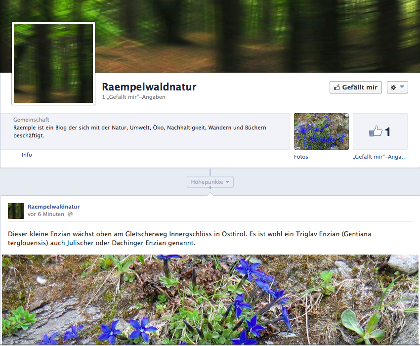 Eine Facebook-Seite mit einem Bild einer blauen Blume.