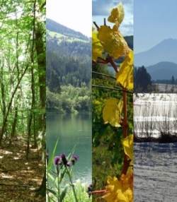 Eine visuelle Ausstellung mit Fotografien von Bäumen und einem See mit dem Titel Naturkalender 2014.