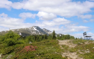 Blick zum Gipfel des Bösen Weible, Lienz
