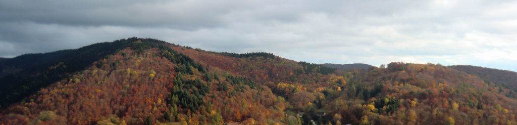 Herbstfarben an den Berghängen des Harz bei Bad Lauterberg