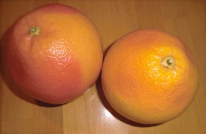 Grapefruit (Citrus x paradisi) 