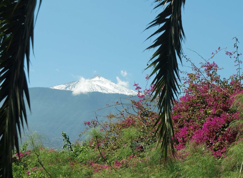 Parque Taoro, Teide Blick.