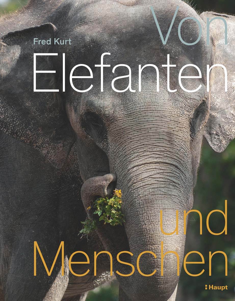 Ein Wissensbuch über die Beziehung zwischen Elefanten und Menschen, von elefanten und menschen.