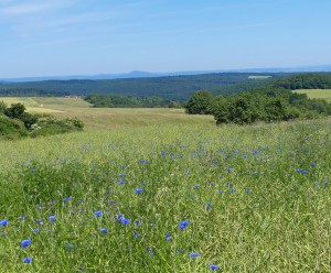 Pilgern elisabethpfad blick