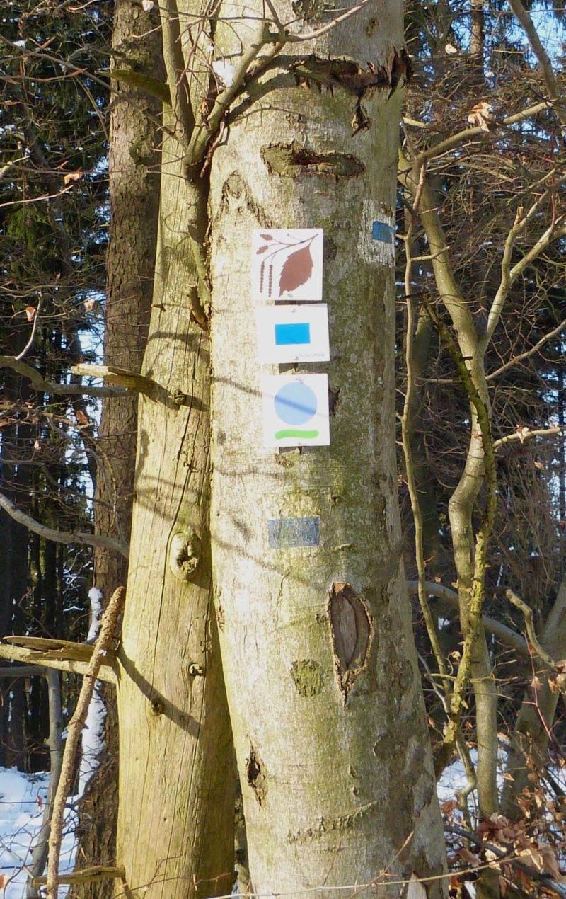Bad Homburg Rundwanderweg über Pelagiusplatz zur Gickelsburg RAEMPEL