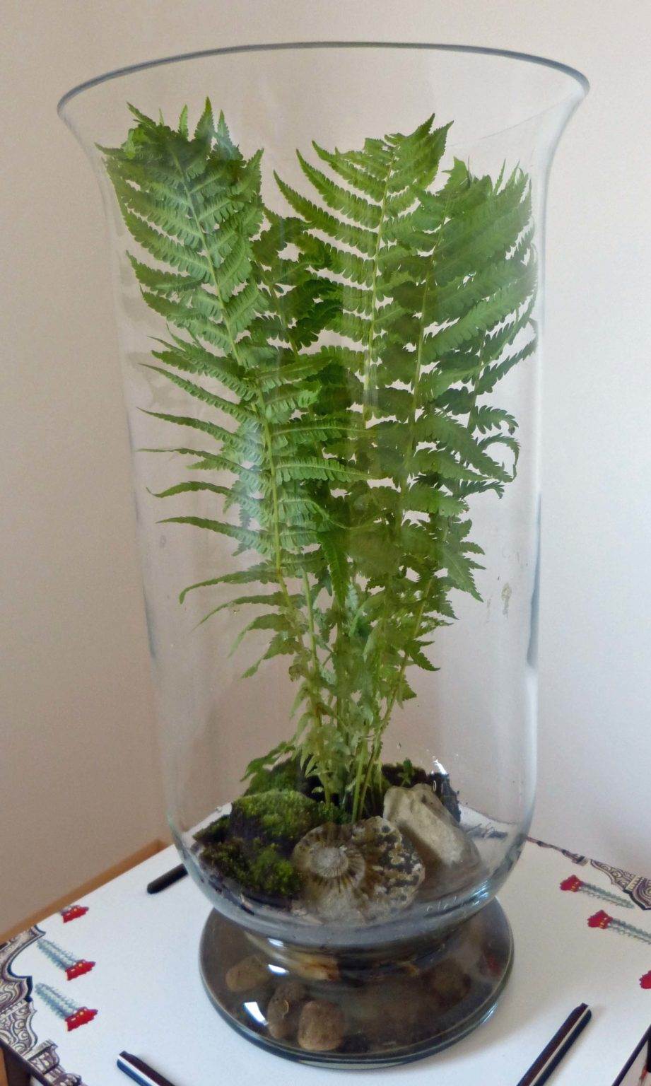 Buchtipp – Indoor Gärtnern mit Miniaturgarten - RAEMPEL