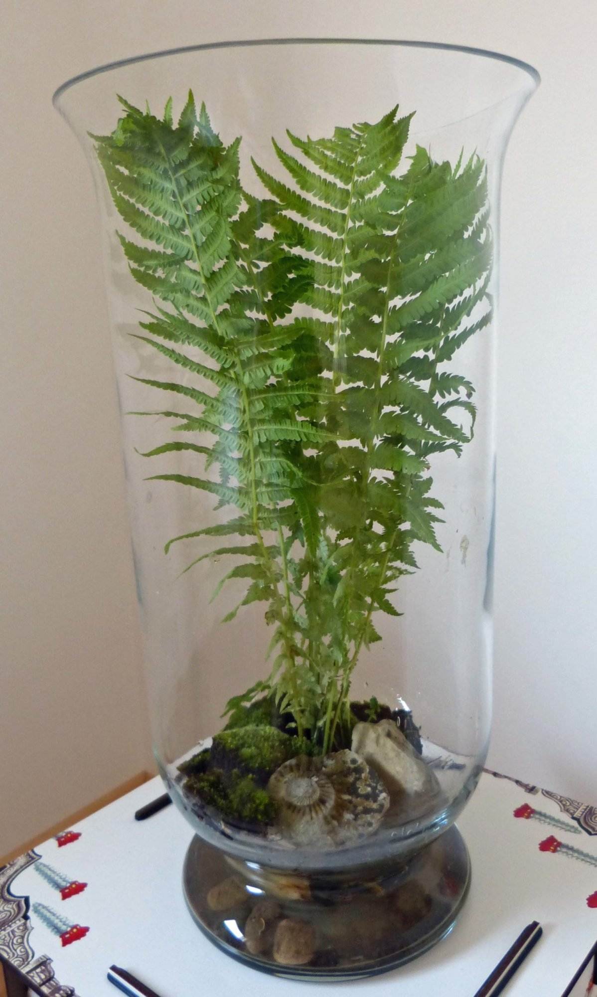 Buchtipp – Indoor Gärtnern mit Miniaturgarten - RAEMPEL