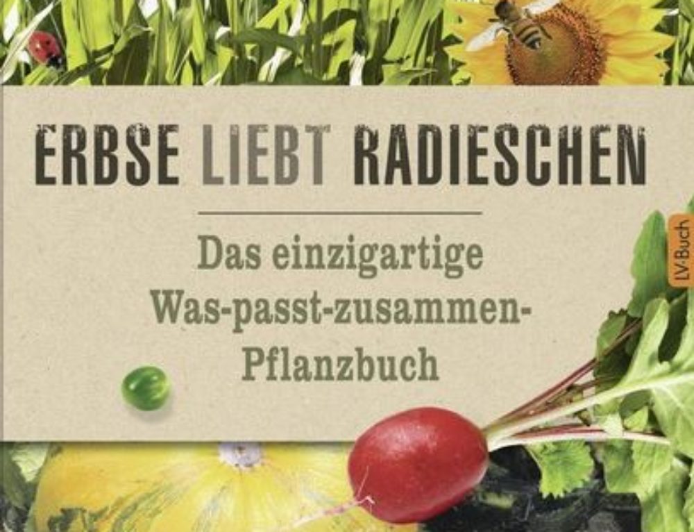 Buchtipp zur Gartengestaltung Garten Räume gestalten RAEMPEL
