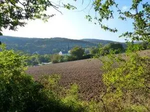 rheinsteig 2 blick eberbach s