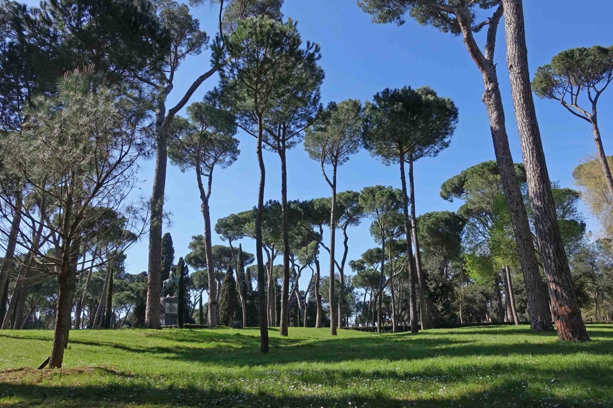 grüne oase in rom villa borghese