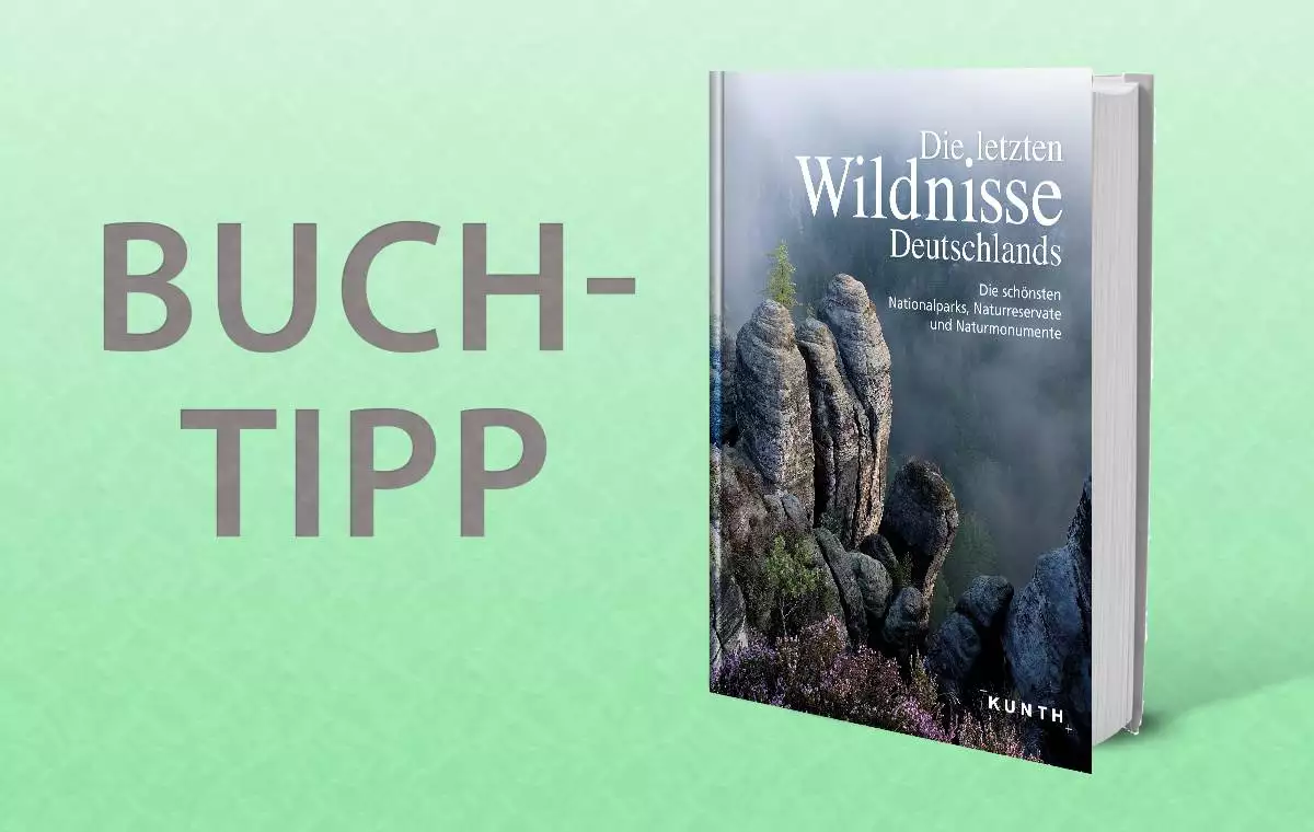 Buch wildnis in Deutschland