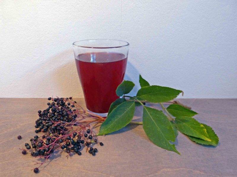 Rezept – Holundersirup aus Holunderbeeren - RAEMPEL