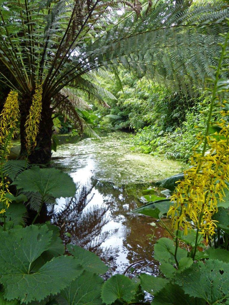 cornwall-besuch-in-lost-gardens-of-heligan-raempel