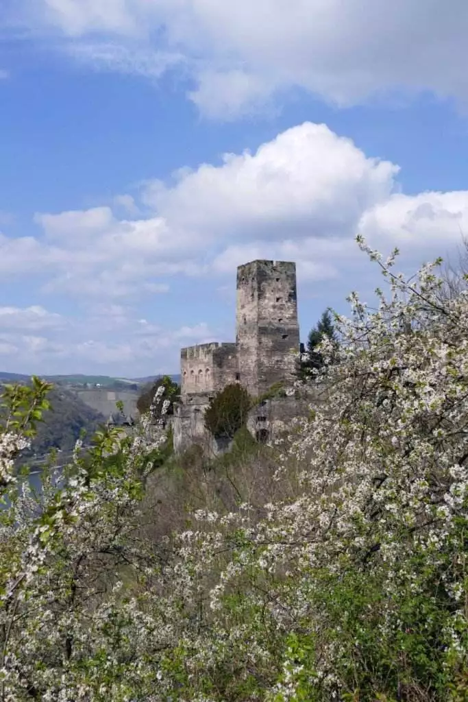 burg gutenfels kaub 