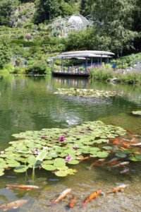 lotosteich schloss trauttmansdorff