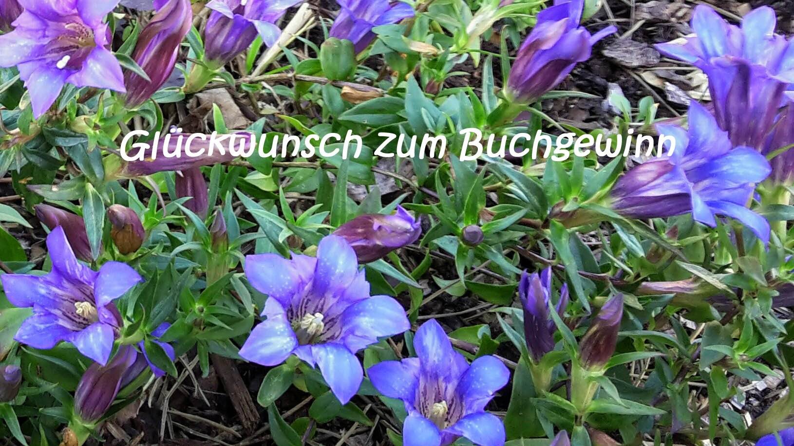Eine Gruppe blauer Blumen, die im Boden wachsen.