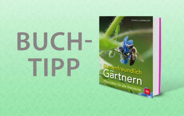 Buchtipp Bienenfreundlich Gärtnern RAEMPEL