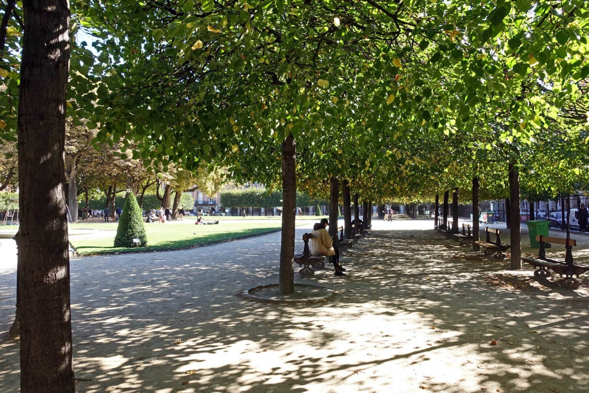 Ein Park mit Bänken und Bäumen im Hintergrund.