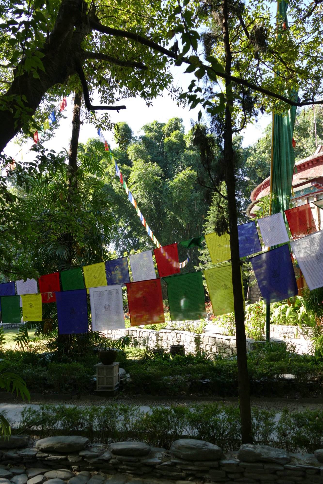 Bunte Gebetsfahnen hängen an einem Baum in Norbulingka in Dharamsala.