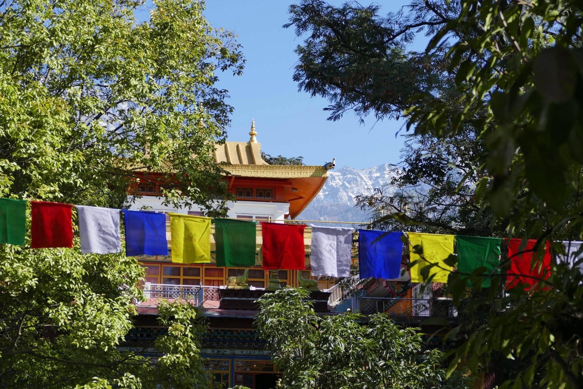Norbulingka Institute Dharamsala Unterkunft Im Norling