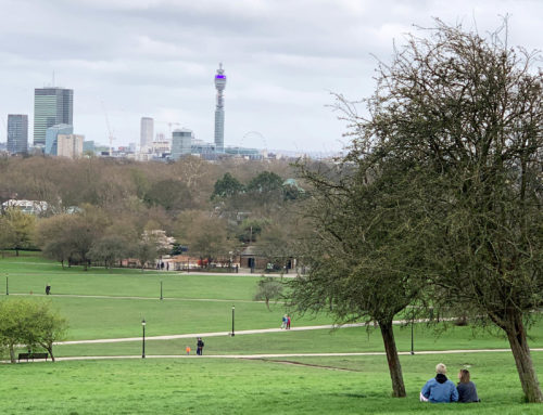 Berühm­te Gär­ten – Prim­ro­se Hill und Regent‘s Park in London