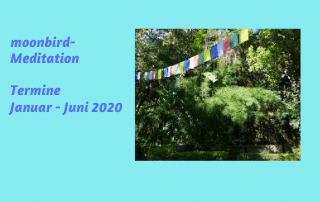 Mondvogel-Meditation – Januar – Juni 2020.