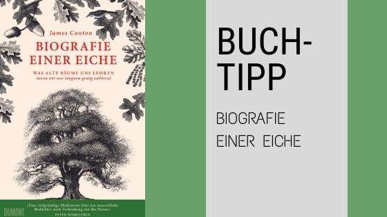 Das Cover des Buches „buch-en-tipp“ zeigt die Biografie einer Eiche.