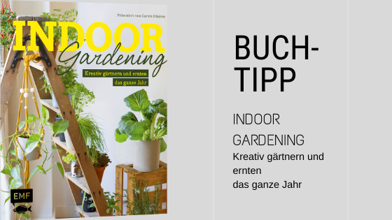 Tipp für die Gartenarbeit mit Buchen im Innenbereich.