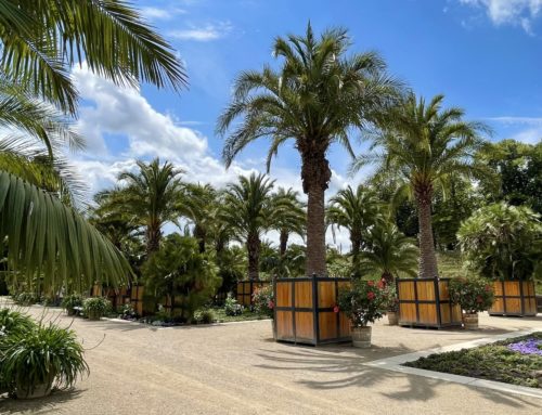 Berühm­te Gär­ten – Der Pal­men­gar­ten von Bad Pyrmont