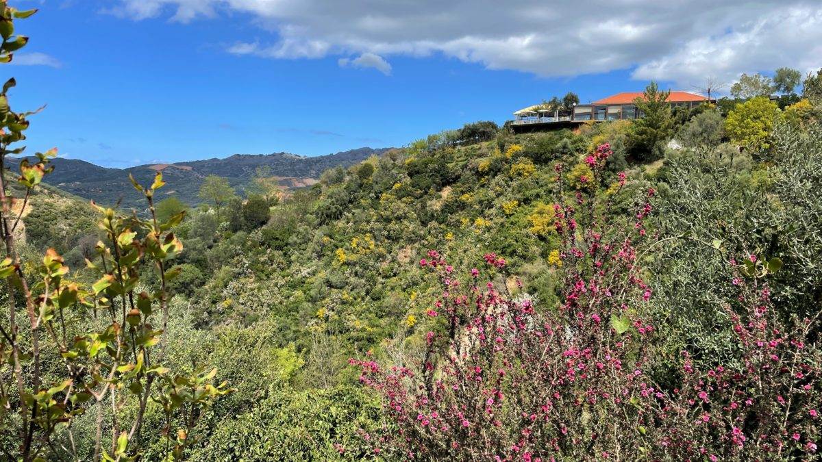 Berühmte Gärten Der Botanische Garten von Kreta RAEMPEL