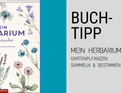 Buchtipp – Mein Herbarium – Pflanzen kennenlernen, sammeln und dabei Spaß haben