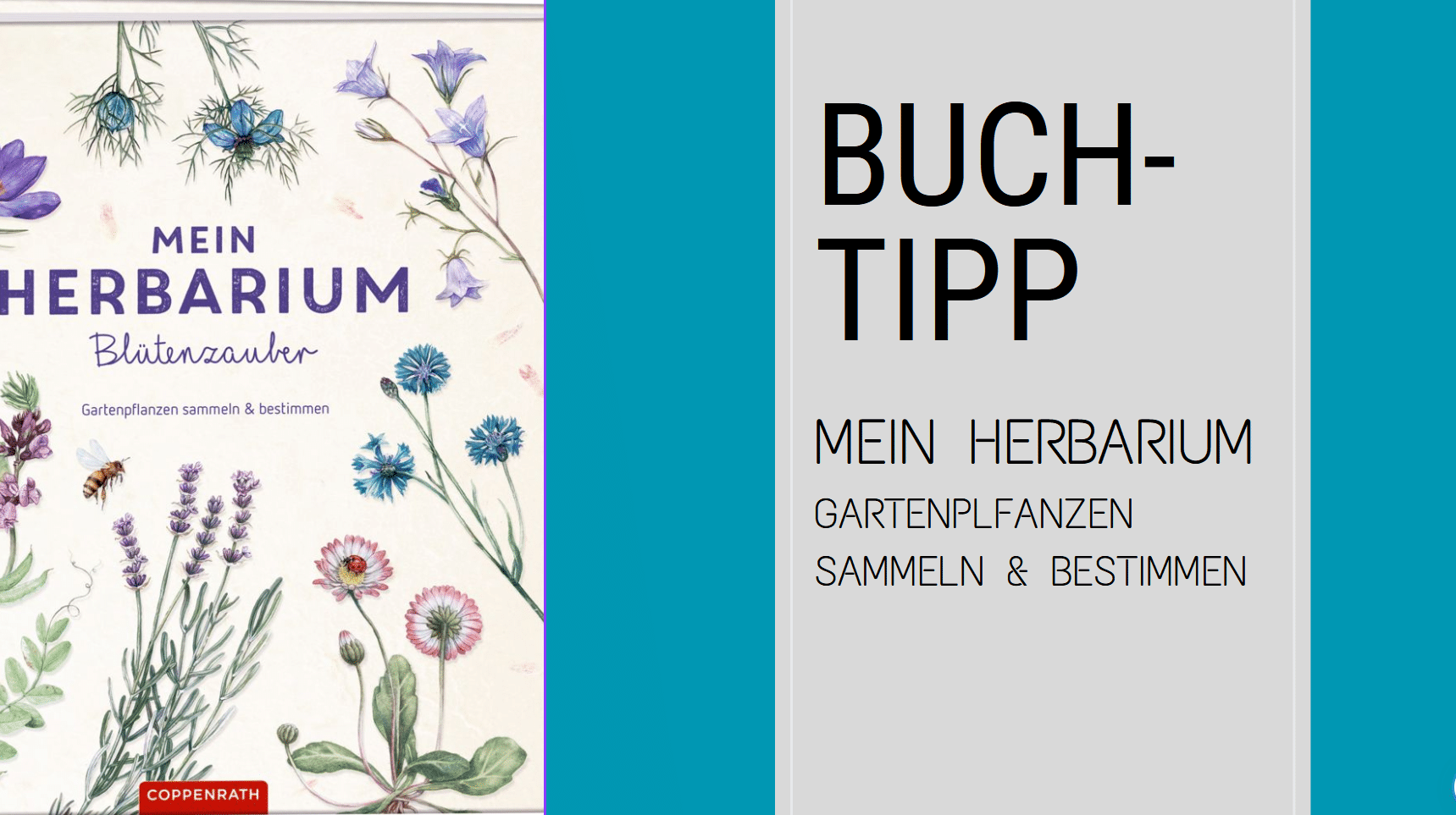 Das Cover von Buch – Herbarium.