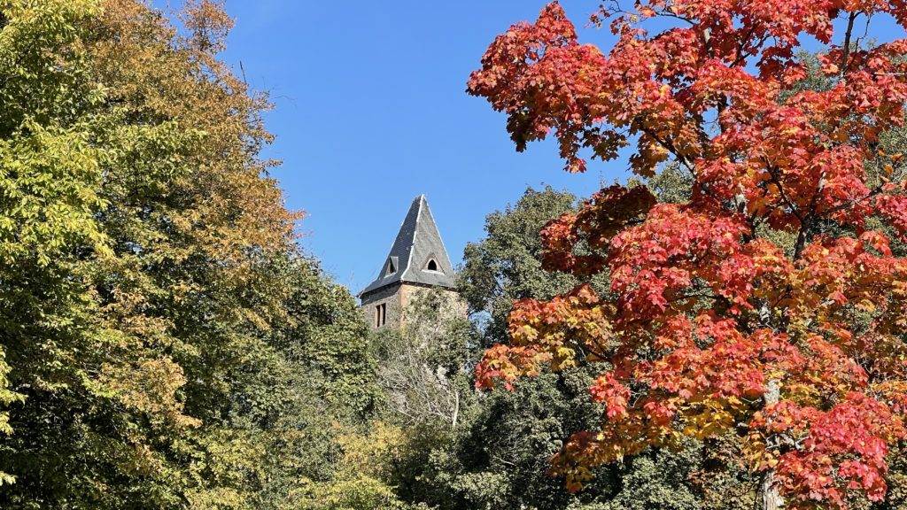 Ein von Bäumen umgebener Kirchturm im Herbst.
