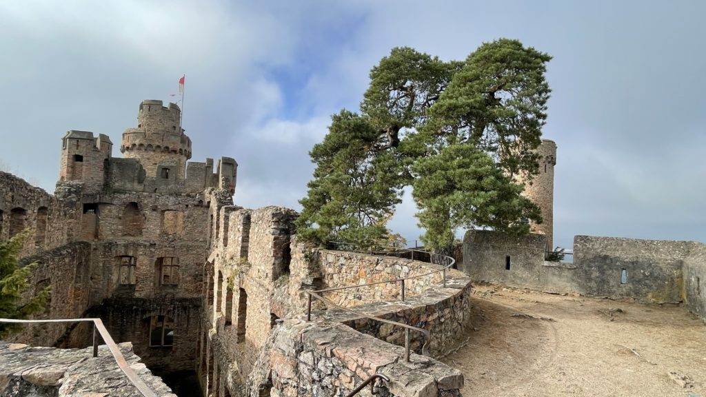 Schloss Auerbach mit dem alten Baum, der oben auf der Burgmauer wächst, Burgensteig