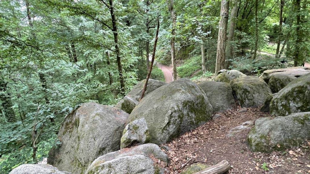 Ein Weg mit großen Felsbrocken im Wald.