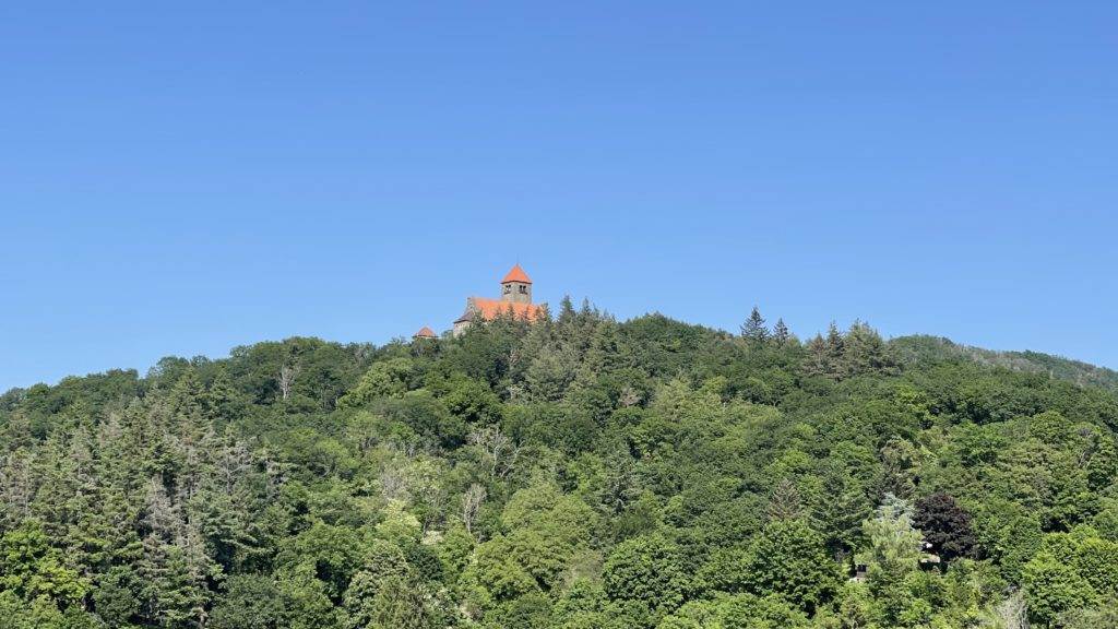 Auf einem Hügel in einem Wald liegt eine Burg.
