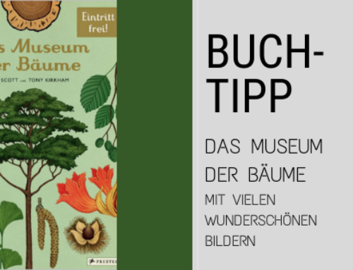 Buchtipp – Das Museum der Bäume – Eintritt frei, immer geöffnet