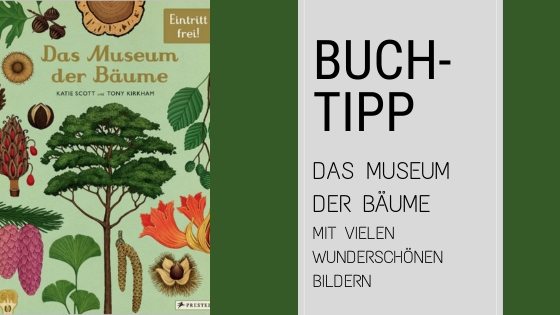 Buch-Tipp – das Museum der Bäume.