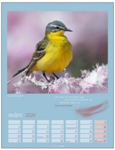 Ein Kalender mit einem gelben Vogel darauf.