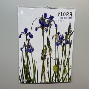 Ein Wandkalender mit Irisblüten darauf.