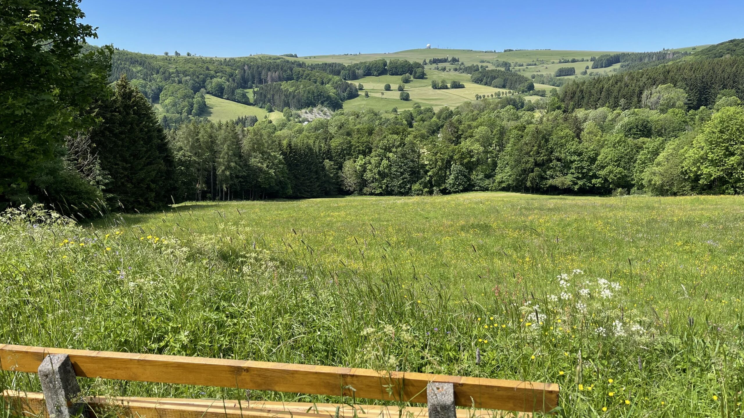 Ein Holzzaun umschließt eine Wiese mit Wildblumen. Im Hintergrund sind Bäume und sanfte Hügel unter einem klaren blauen Himmel zu sehen.