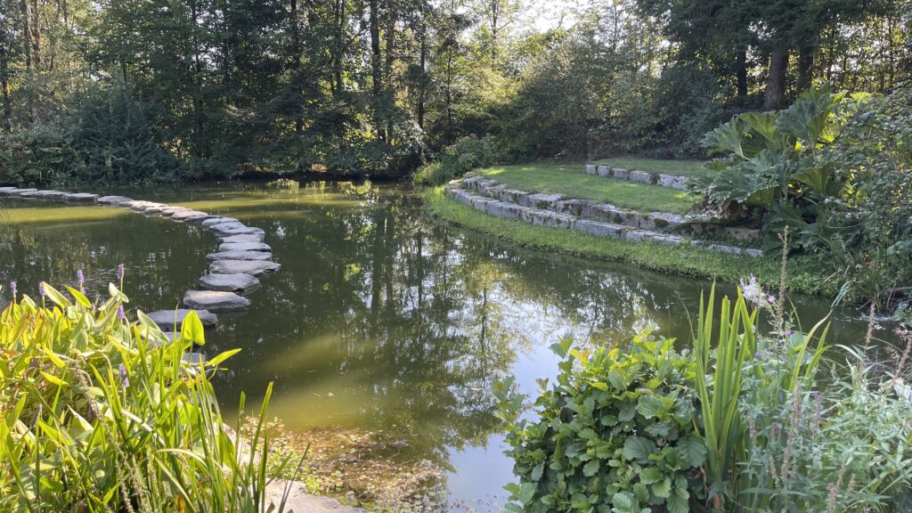 Ein ruhiger Teich, umgeben von üppigem Grün, mit einem Steinweg, der sich über das Wasser schlängelt, und einer Rasenfläche mit Steinstufen auf der rechten Seite. Bäume und Pflanzen säumen die friedliche Szene.