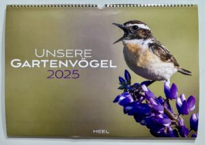 Cover des Kalenders „Unsere Gartenvögel 2025“ mit einem Vogel, der auf lila Blumen sitzt.