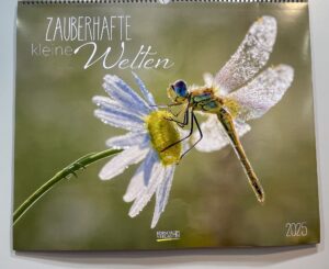 Kalendercover mit dem Titel „Zauberhafte kleine Welten 2025“ zeigt die Nahaufnahme einer Libelle, die auf einer taufrischen Blume sitzt.