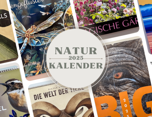 Naturkalender 2025 in der Kalenderausstellung der Buchmesse 2024