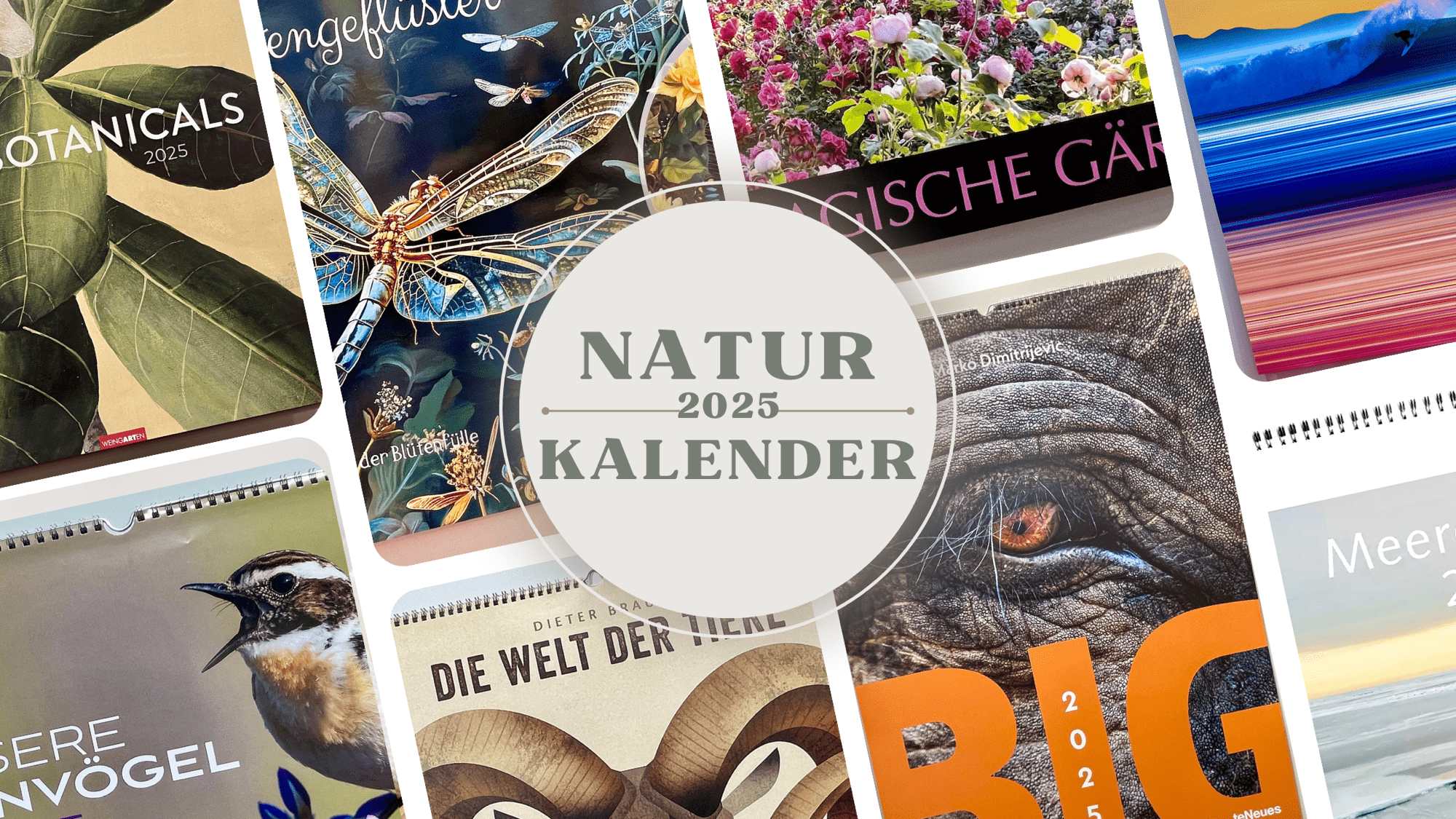 Collage aus Kalendern mit Naturmotiven für 2025, darunter Bilder einer Libelle, eines Vogels, eines Elefanten und verschiedener Blumen. Der zentrale Text lautet „NATUR 2025 KALENDER“.