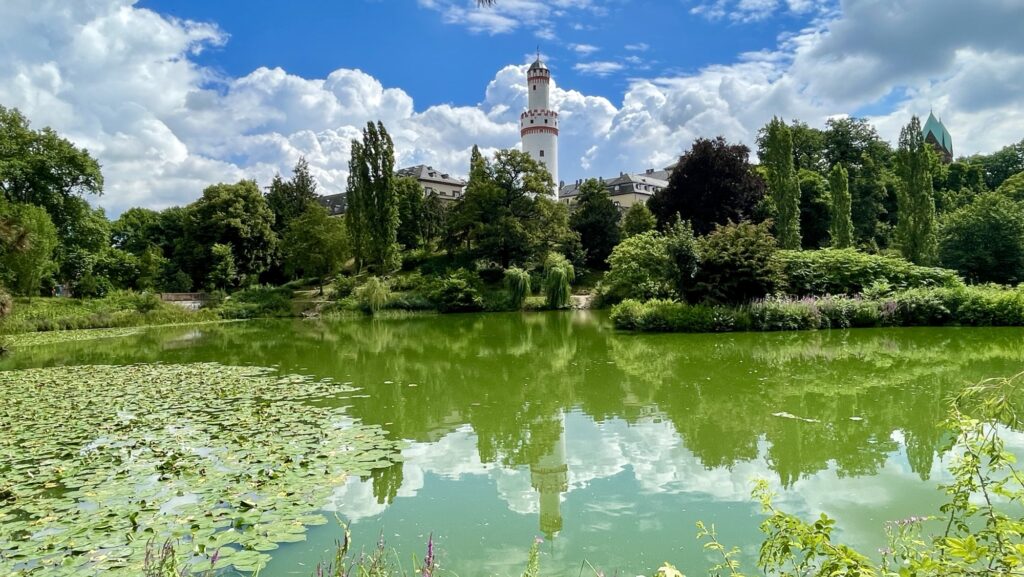 In einem friedlichen grünen Teich mit Seerosen spiegeln sich die umliegenden Bäume und ein entfernter Turm unter einem teilweise bewölkten Himmel.