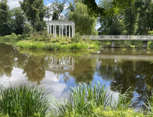 Berühmte Gärten – Historische, landgräfliche Gärten, Bad Homburg