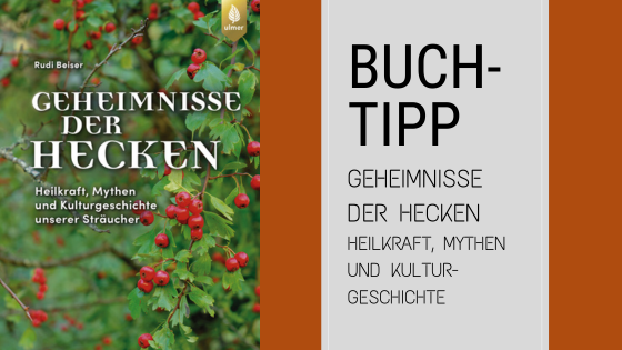 Buchumschlag von "Geheimnisse der Hecken" von Rudi Beiser mit roten Beeren und grünem Laub, daneben ein Textfeld, das das Buch empfiehlt und den Titel und Untertitel aufführt.